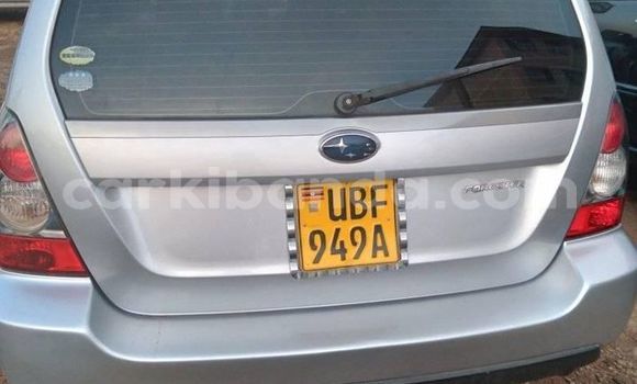 Acheter Occasion Voiture Subaru Forester Gris à Kampala, Ouganda Acheter Occasion Voiture Subaru Forester Gris à Kampala, Ouganda