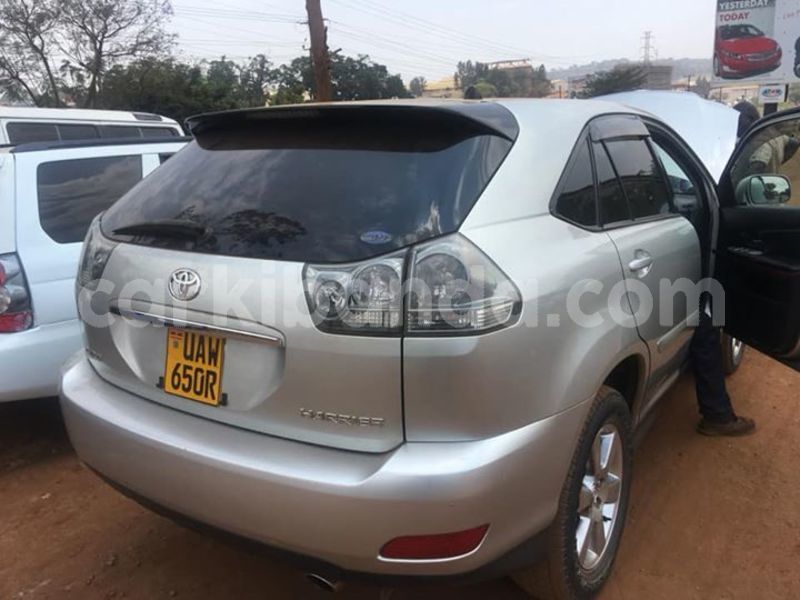 Big with watermark 30629329 194112211393369 244064733525704704 n