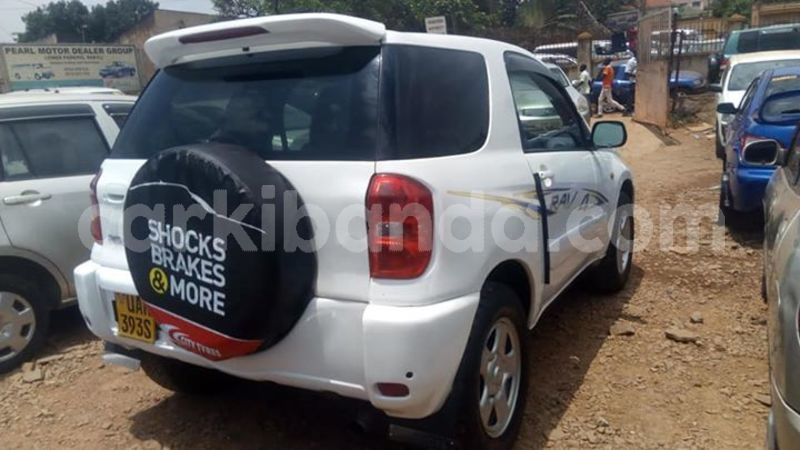 Big with watermark 30623955 578122035882356 6857030771144654848 n