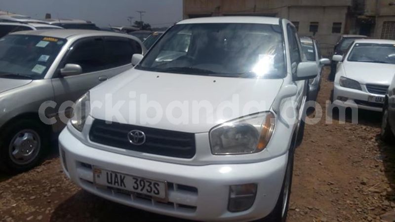 Big with watermark 30629329 194112211393369 244064733525704704 n