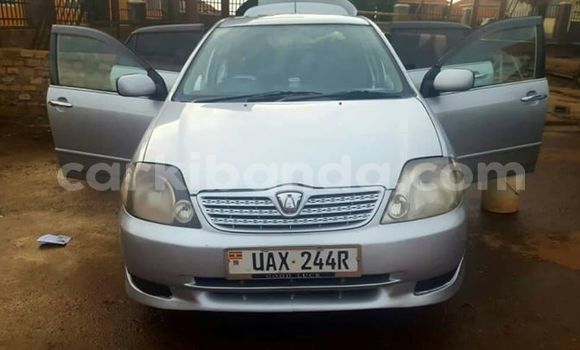 Buy Used Toyota Allex Silver Car in Kampala in Uganda Buy Used Toyota Allex Silver Car in Kampala in Uganda
