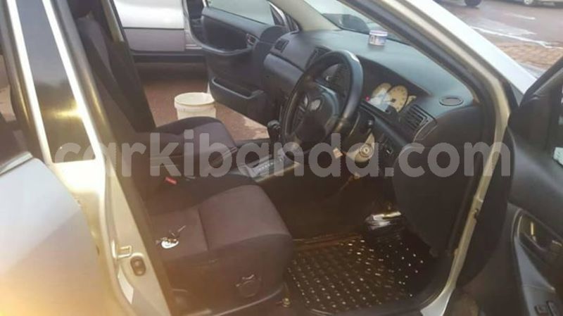 Big with watermark 30629329 194112211393369 244064733525704704 n