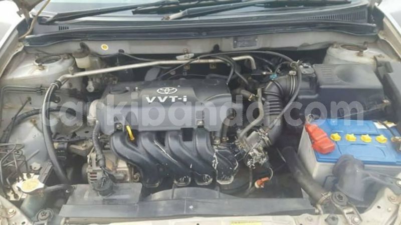 Big with watermark 30705011 1080215435450894 1812932972978896896 n