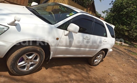 Buy Used Toyota Harrier White Car in Kampala in Uganda