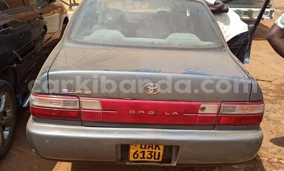 Gura Yakoze Toyota Corona Other Imodoka i Kampala mu Uganda Gura Yakoze Toyota Corona Other Imodoka i Kampala mu Uganda