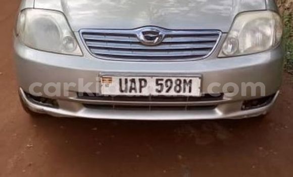 Buy Used Toyota Corolla Brown Car in Kampala in Uganda