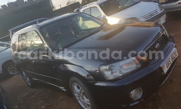 Acheter Occasion Voiture Subaru Forester Noir à Kampala, Ouganda
