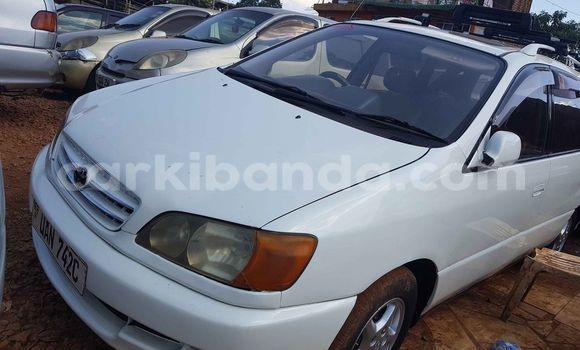 Acheter Occasion Voiture Toyota Ipsum Blanc à Kampala, Ouganda Acheter Occasion Voiture Toyota Ipsum Blanc à Kampala, Ouganda