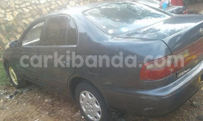 Big with watermark 43063105 176670333210778 5074396546171142144 n