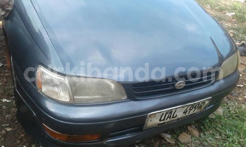 Big with watermark 43011550 176670203210791 6112316156784148480 n