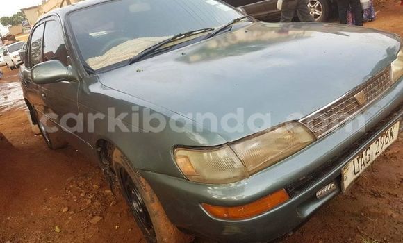Nunua Ilio tumika Toyota Corolla Nyingine Gari ndani ya Kampala nchini Uganda Nunua Ilio tumika Toyota Corolla Nyingine Gari ndani ya Kampala nchini Uganda