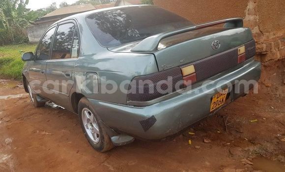 Acheter Occasion Voiture Toyota Corolla Autre à Kampala, Ouganda Acheter Occasion Voiture Toyota Corolla Autre à Kampala, Ouganda