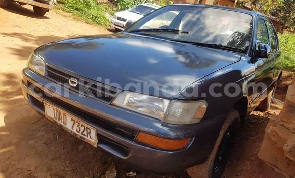 Buy Used Toyota Corona Other Car in Kampala in Uganda