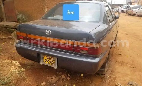Acheter Occasion Voiture Toyota Corona Autre à Kampala, Ouganda Acheter Occasion Voiture Toyota Corona Autre à Kampala, Ouganda
