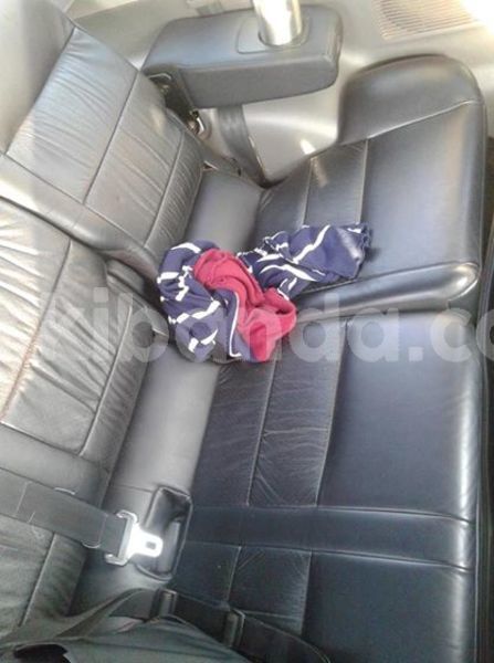 Big with watermark 43063187 914269512105141 295125581073219584 n