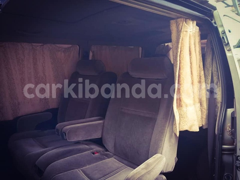 Big with watermark 43195729 1990589547669257 7648784142208860160 n