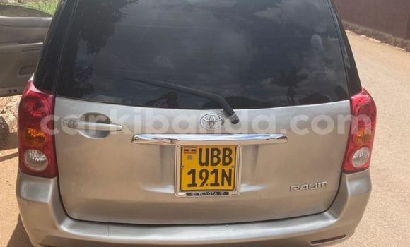 Acheter Occasion Voiture Toyota Raum Gris à Kampala, Ouganda Acheter Occasion Voiture Toyota Raum Gris à Kampala, Ouganda