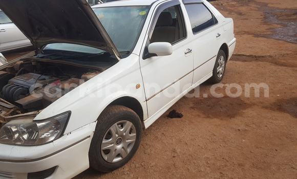 Buy Used Toyota Vista White Car in Kampala in Uganda