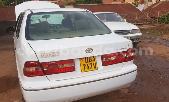 Buy Used Toyota Vista White Car in Kampala in Uganda Buy Used Toyota Vista White Car in Kampala in Uganda