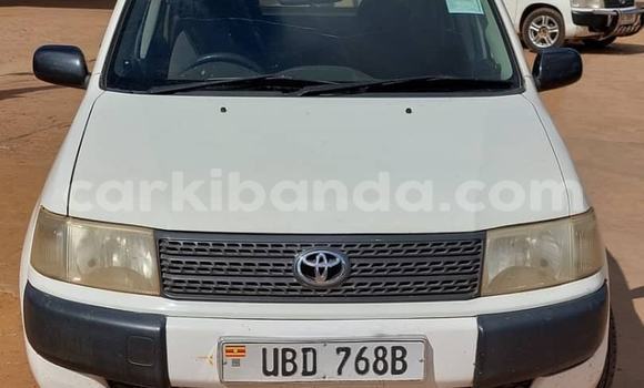 Nunua Ilio tumika Toyota Probox Nyeupe Gari ndani ya Kampala nchini Uganda