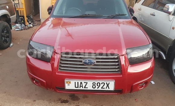 Acheter Occasion Voiture Subaru Forester Rouge à Kampala, Ouganda Acheter Occasion Voiture Subaru Forester Rouge à Kampala, Ouganda