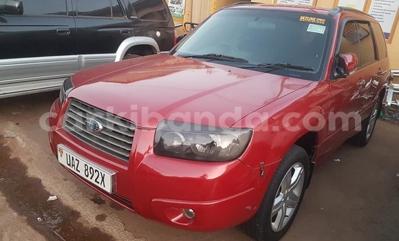 Acheter Occasion Voiture Subaru Forester Rouge à Kampala, Ouganda Acheter Occasion Voiture Subaru Forester Rouge à Kampala, Ouganda