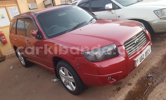 Acheter Occasion Voiture Subaru Forester Rouge à Kampala, Ouganda Acheter Occasion Voiture Subaru Forester Rouge à Kampala, Ouganda