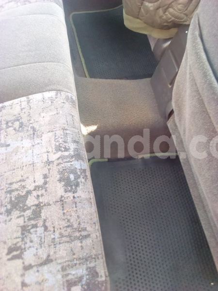 Big with watermark 43146487 2158929774428221 9043402247043547136 n