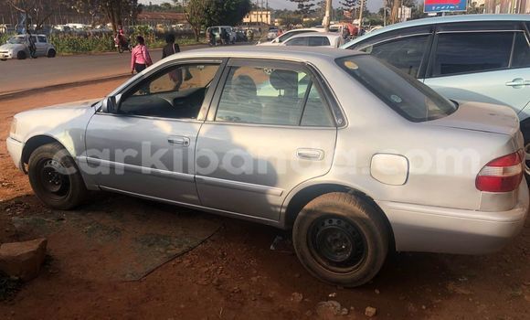 Gura Yakoze Toyota Corolla Silver Imodoka i Kampala mu Uganda Gura Yakoze Toyota Corolla Silver Imodoka i Kampala mu Uganda
