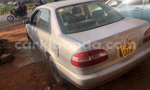 Gura Yakoze Toyota Corolla Silver Imodoka i Kampala mu Uganda Gura Yakoze Toyota Corolla Silver Imodoka i Kampala mu Uganda