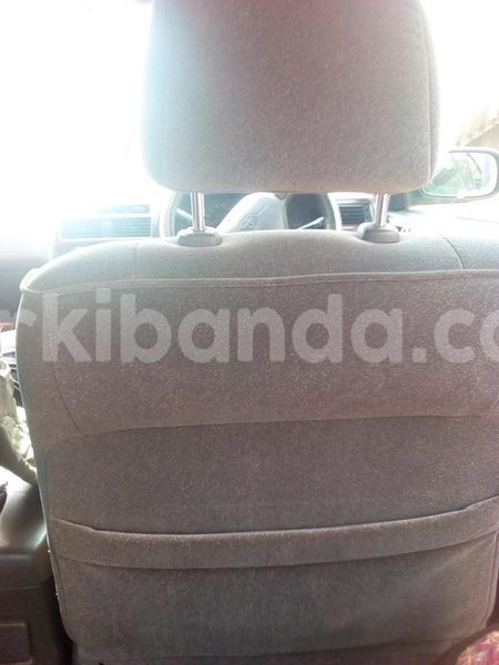 Big with watermark 43119634 2158929691094896 833923185337434112 n