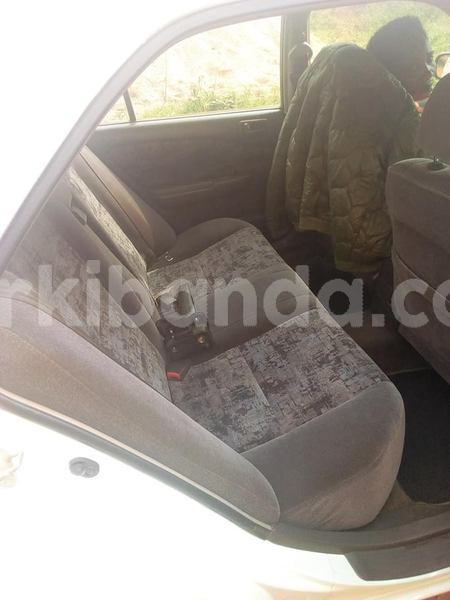 Big with watermark 43178545 2158929511094914 1686041471343394816 n