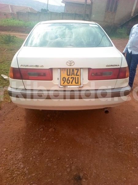 Big with watermark 43311652 2158928924428306 4498472626125012992 n