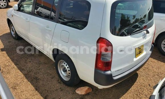 Nunua Ilio tumika Toyota Probox Nyeupe Gari ndani ya Kampala nchini Uganda Nunua Ilio tumika Toyota Probox Nyeupe Gari ndani ya Kampala nchini Uganda