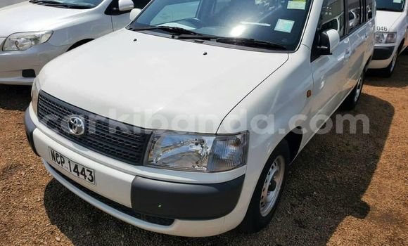 Nunua Ilio tumika Toyota Probox Nyeupe Gari ndani ya Kampala nchini Uganda Nunua Ilio tumika Toyota Probox Nyeupe Gari ndani ya Kampala nchini Uganda