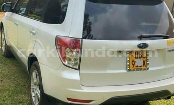 Nunua Ilio tumika Subaru Forester Nyeupe Gari ndani ya Kampala nchini Uganda Nunua Ilio tumika Subaru Forester Nyeupe Gari ndani ya Kampala nchini Uganda