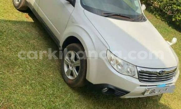 Nunua Ilio tumika Subaru Forester Nyeupe Gari ndani ya Kampala nchini Uganda Nunua Ilio tumika Subaru Forester Nyeupe Gari ndani ya Kampala nchini Uganda