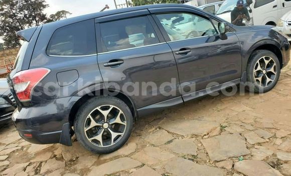 Buy Used Subaru Forester Black Car in Kampala in Uganda