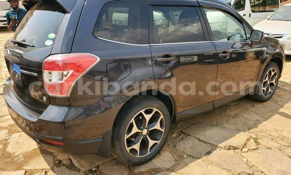Nunua Ilio tumika Subaru Forester Nyeusi Gari ndani ya Kampala nchini Uganda Nunua Ilio tumika Subaru Forester Nyeusi Gari ndani ya Kampala nchini Uganda