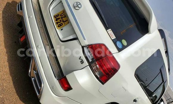 Nunua Ilio tumika Toyota Land Cruiser Nyeupe Gari ndani ya Kampala nchini Uganda Nunua Ilio tumika Toyota Land Cruiser Nyeupe Gari ndani ya Kampala nchini Uganda