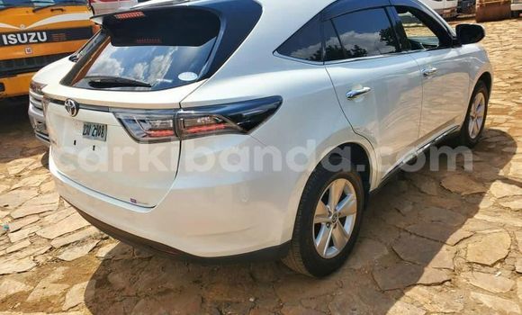 Nunua Ilio tumika Toyota Harrier Nyeupe Gari ndani ya Kampala nchini Uganda Nunua Ilio tumika Toyota Harrier Nyeupe Gari ndani ya Kampala nchini Uganda