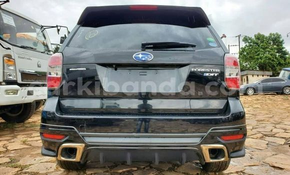 Nunua Ilio tumika Subaru Forester Nyeusi Gari ndani ya Kampala nchini Uganda Nunua Ilio tumika Subaru Forester Nyeusi Gari ndani ya Kampala nchini Uganda