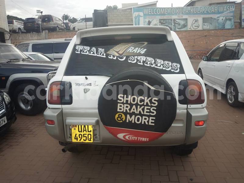 Big with watermark 43004269 497856900688206 6280042480893165568 n