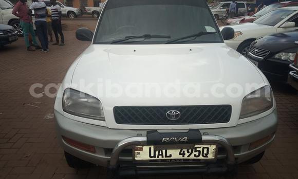 Buy Used Toyota RAV4 White Car in Kampala in Uganda Buy Used Toyota RAV4 White Car in Kampala in Uganda
