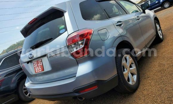 Nunua Ilio tumika Subaru Forester Fedha Gari ndani ya Kampala nchini Uganda Nunua Ilio tumika Subaru Forester Fedha Gari ndani ya Kampala nchini Uganda