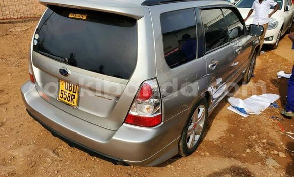 Nunua Ilio tumika Subaru Forester Fedha Gari ndani ya Kampala nchini Uganda Nunua Ilio tumika Subaru Forester Fedha Gari ndani ya Kampala nchini Uganda