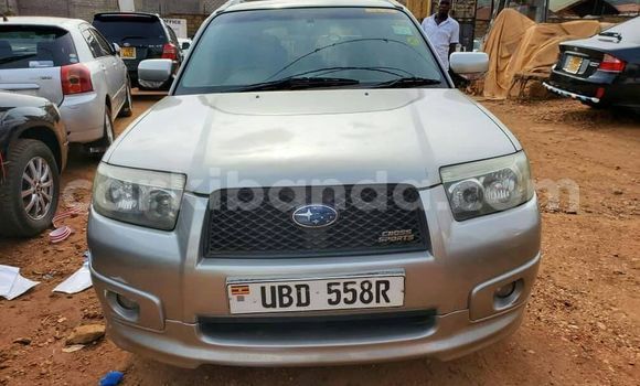 Nunua Ilio tumika Subaru Forester Fedha Gari ndani ya Kampala nchini Uganda Nunua Ilio tumika Subaru Forester Fedha Gari ndani ya Kampala nchini Uganda