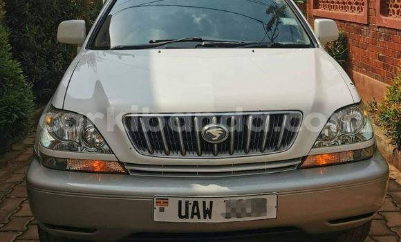 Acheter Occasion Voiture Toyota Harrier Blanc à Kampala, Ouganda