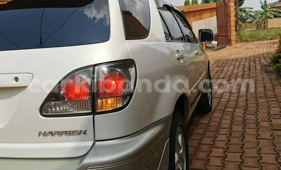 Nunua Ilio tumika Toyota Harrier Nyeupe Gari ndani ya Kampala nchini Uganda Nunua Ilio tumika Toyota Harrier Nyeupe Gari ndani ya Kampala nchini Uganda