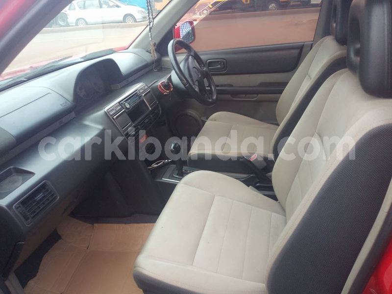 Big with watermark 43034917 497846114022618 8331544184037048320 n